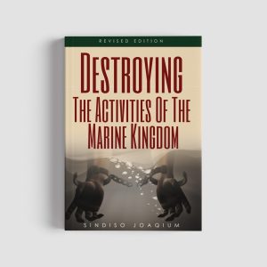 Destroying The Activities of The Marine Kingdom